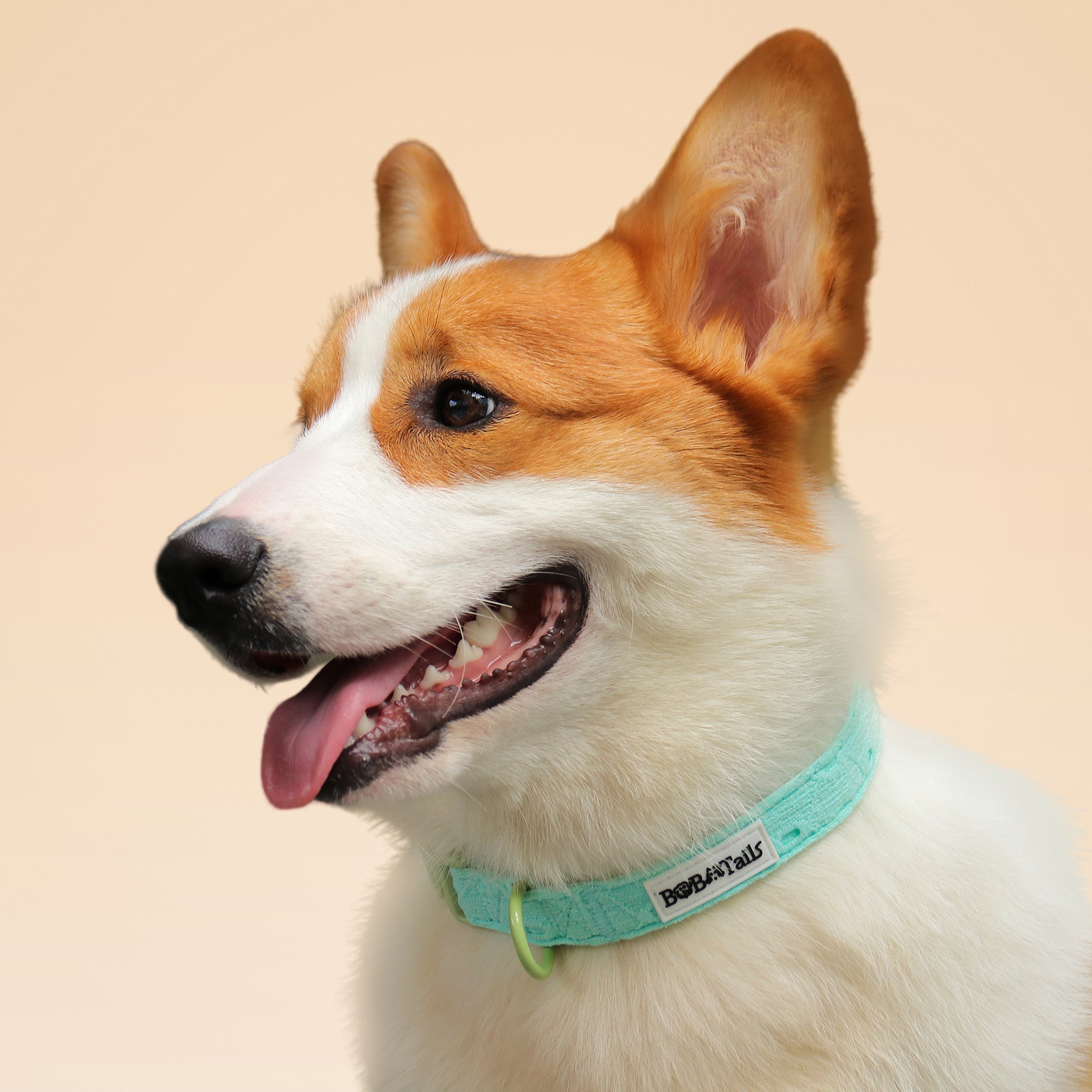 ปลอกคอสุนัขปักไหม