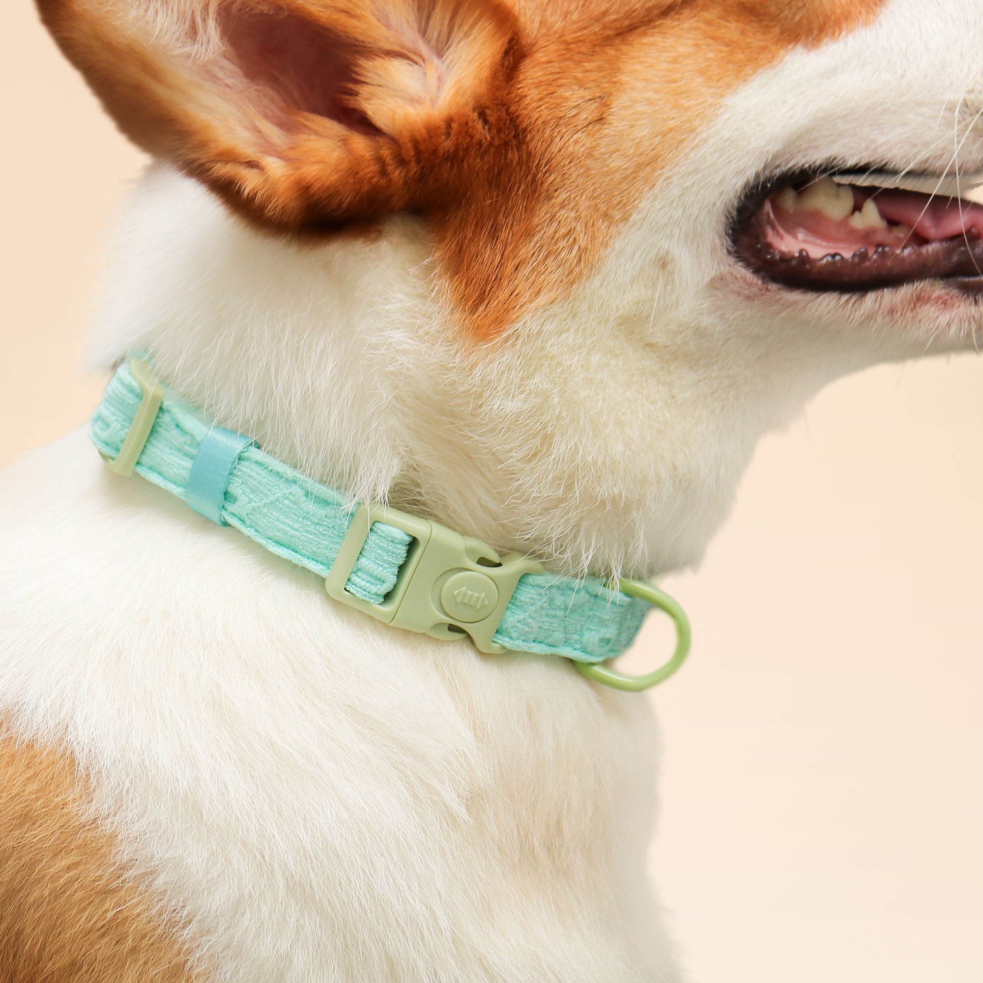 ปลอกคอสุนัขปักไหม