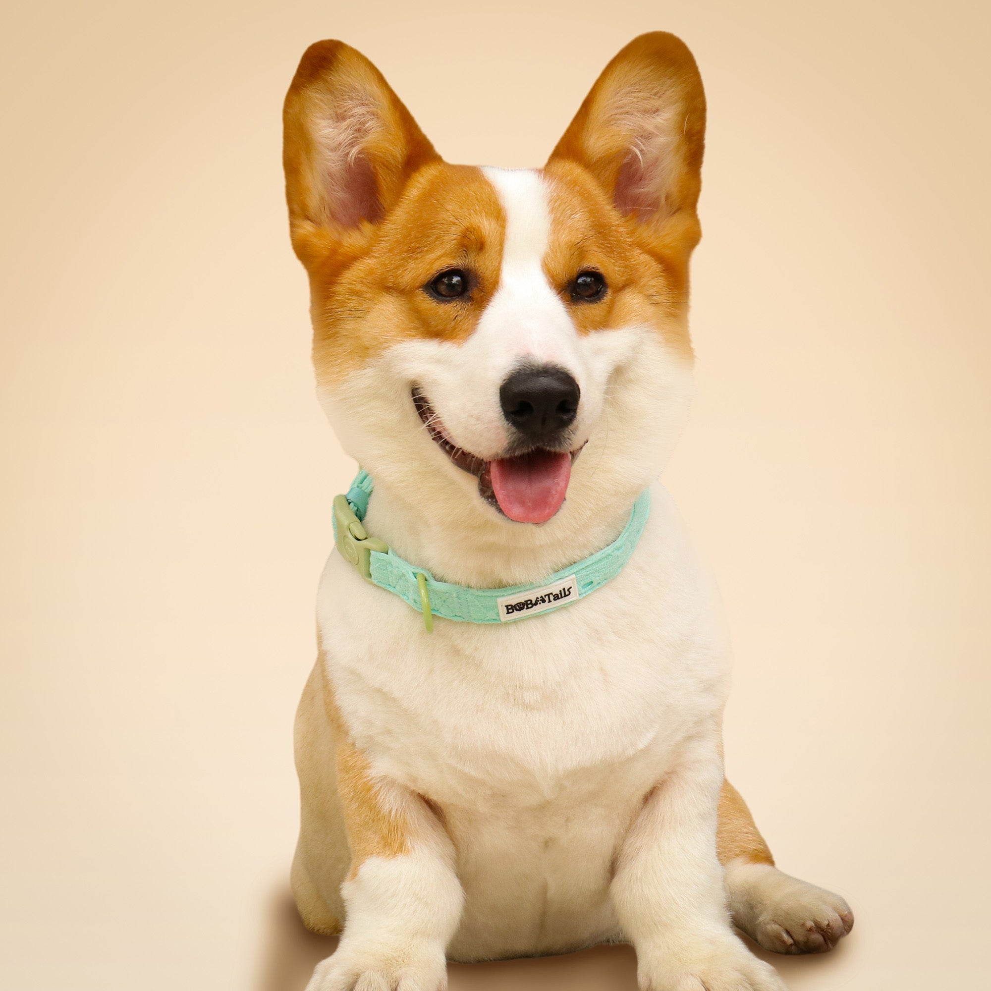 ปลอกคอสุนัขปักไหม