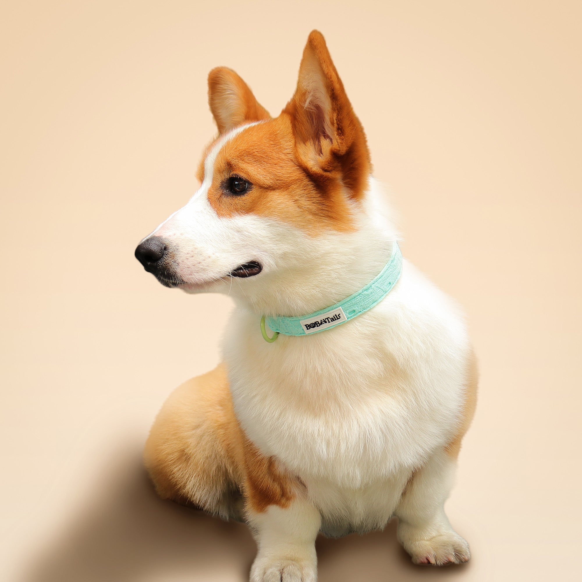 ปลอกคอสุนัขปักไหม