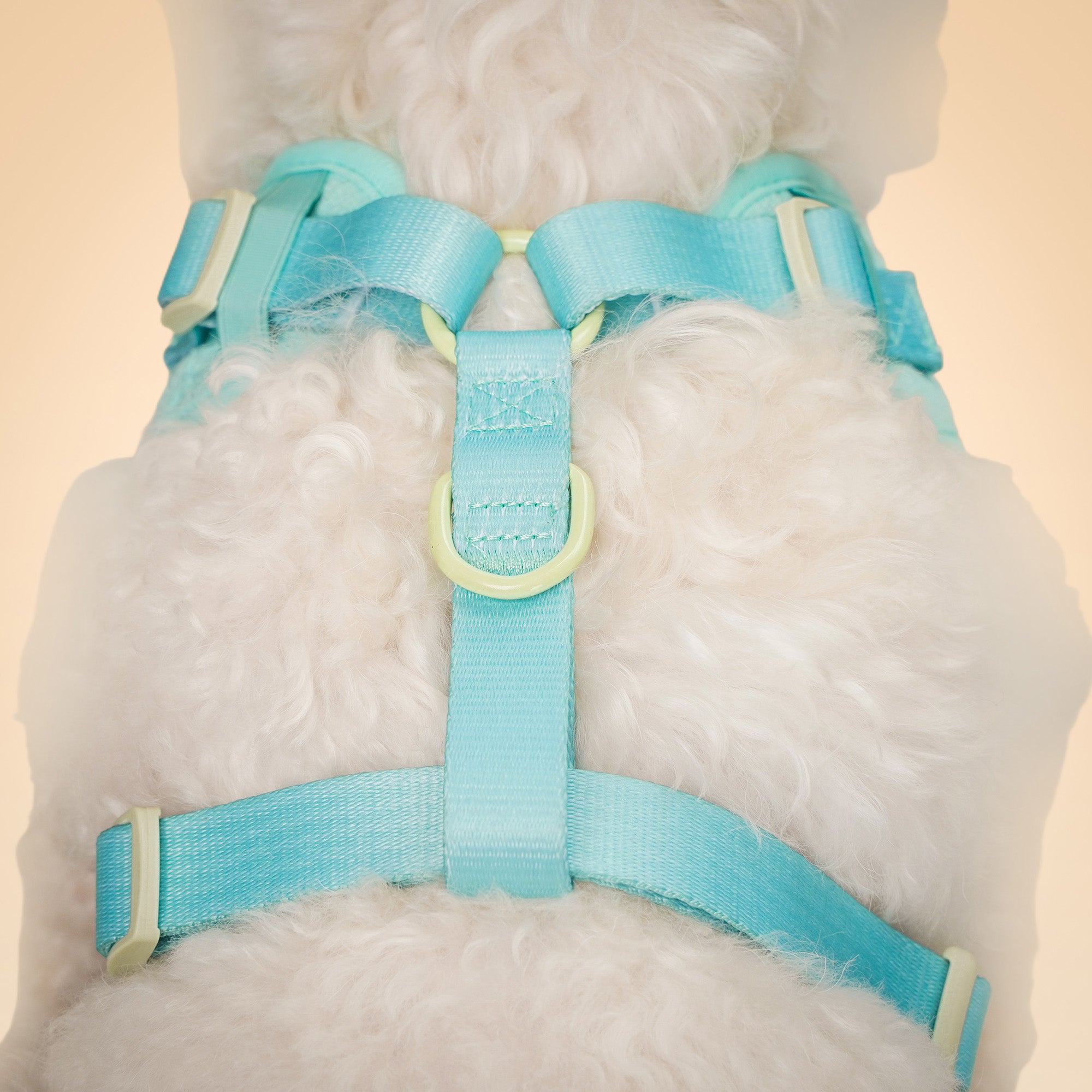 Hundegeschirr mit Seidenstickerei, kein Würgen