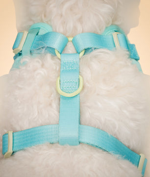 Silk Embroidery No Choke Dog Harness