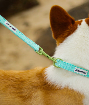 Silk Embroidery Pulling Dog Leash