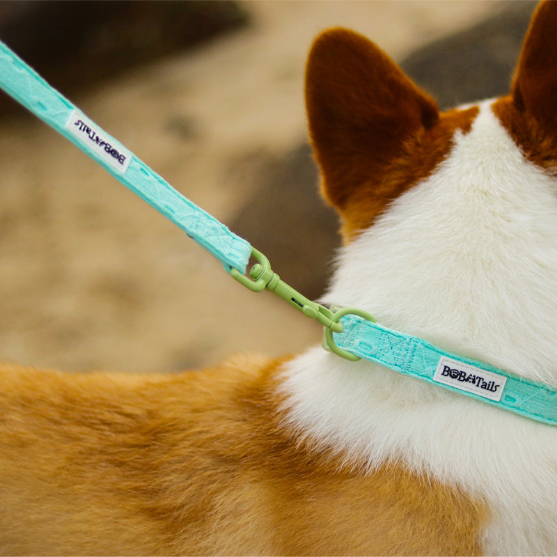 Silk Embroidery Pulling Dog Leash