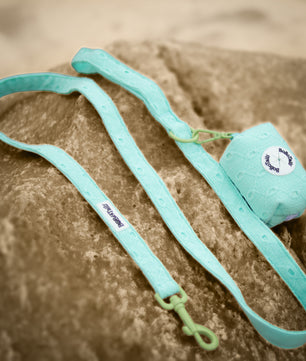 Silk Embroidery Pulling Dog Leash