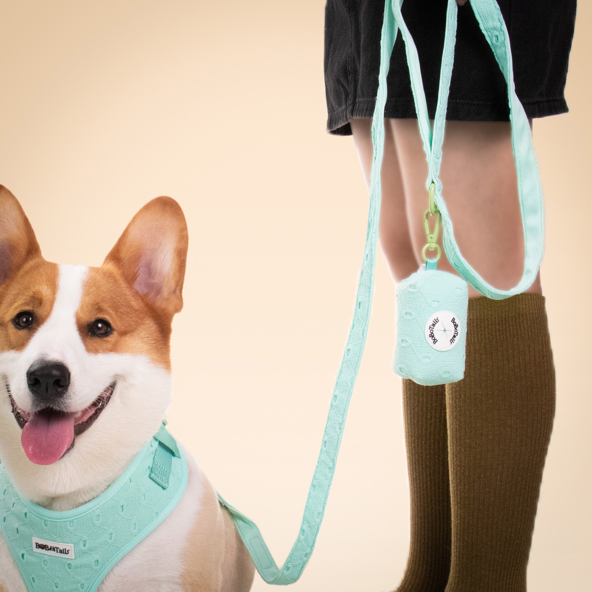 Silk Embroidery Pulling Dog Leash