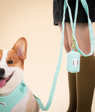 Silk Embroidery Pulling Dog Leash