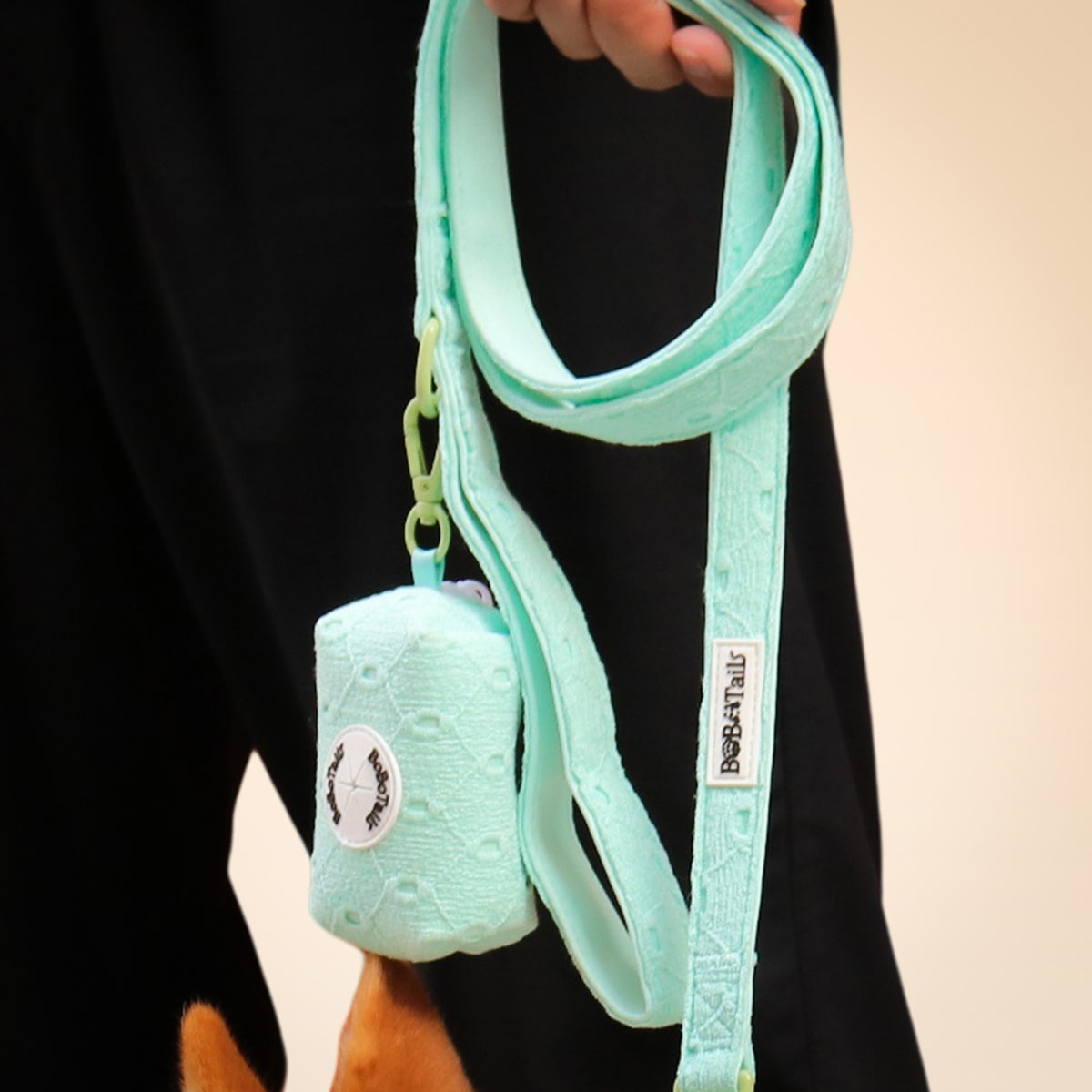 Mint green dog leash and matching pouch held by a person against a black background