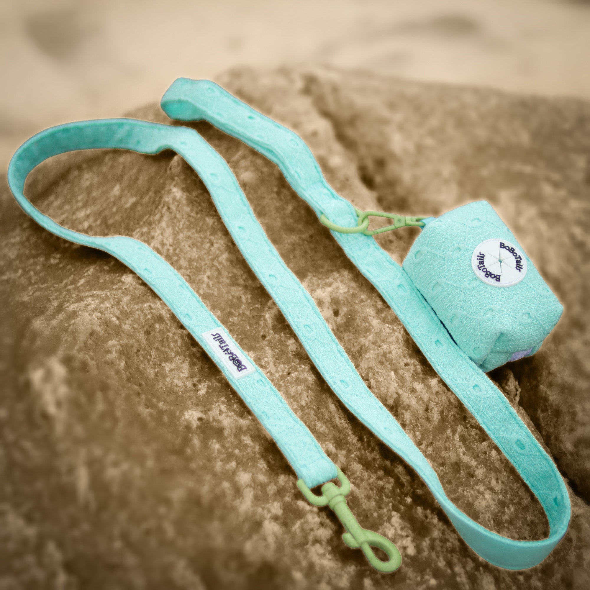 Bobotails silk emboridery dog leash and matching poop bag holder set for small and medium dogs 