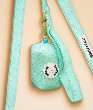 Mint green pet toy with a strap on a beige background