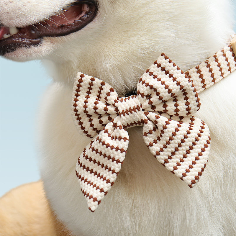 Small Grain Dog Bow Tie
