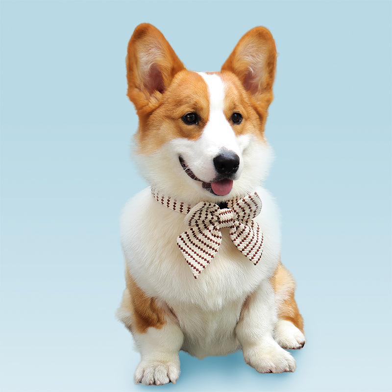 Small Grain Dog Bow Tie