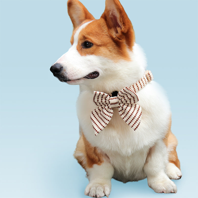 Small Grain Dog Bow Tie