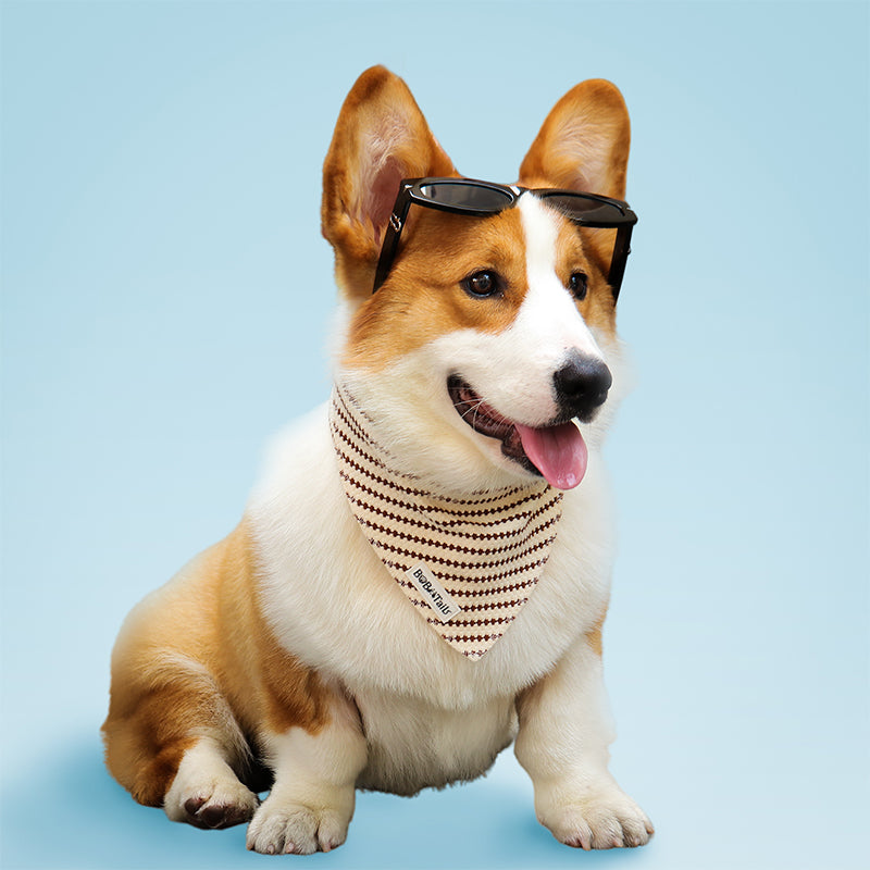 Small Grain Dog Bandanas