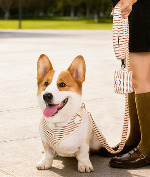 Small Grain X Small Dog Harness
