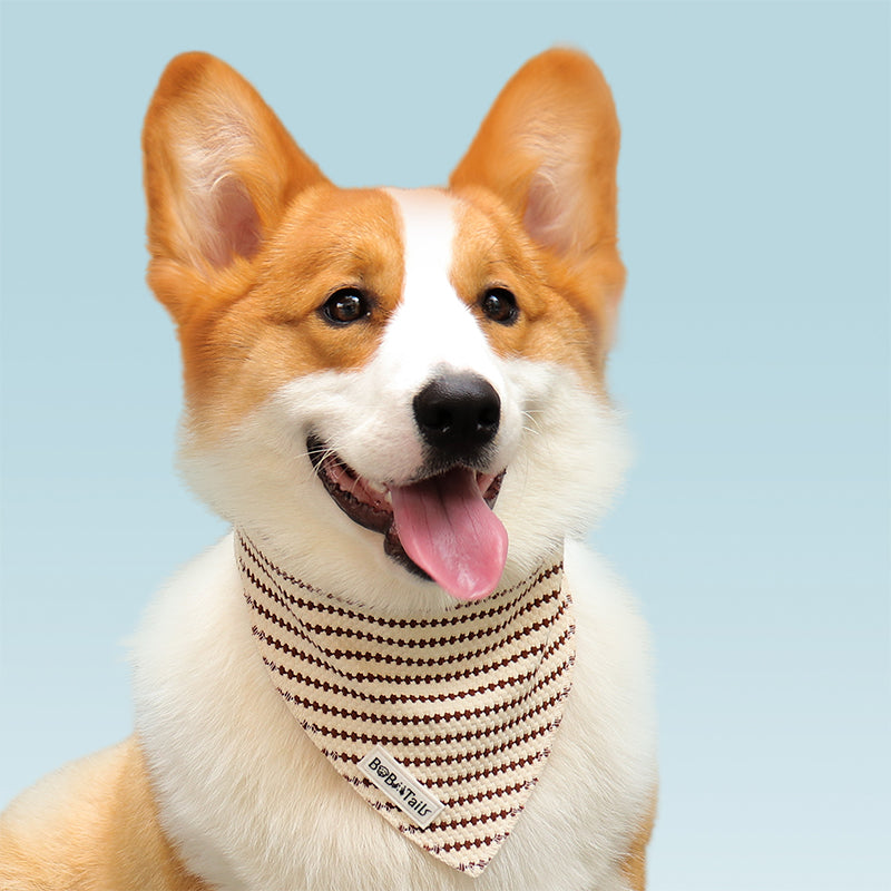 snall grain bandanas for dogs