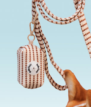 Dog leash with a small dog waste bags holder for dog outdoor walking