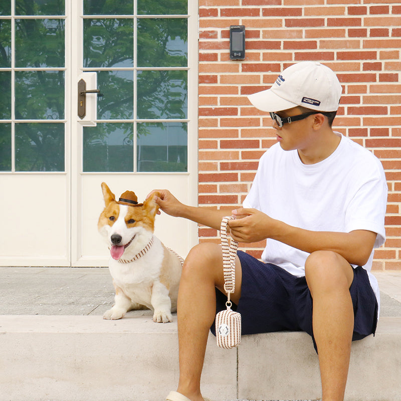 Bobotails small grain slip leash for dogs with collar