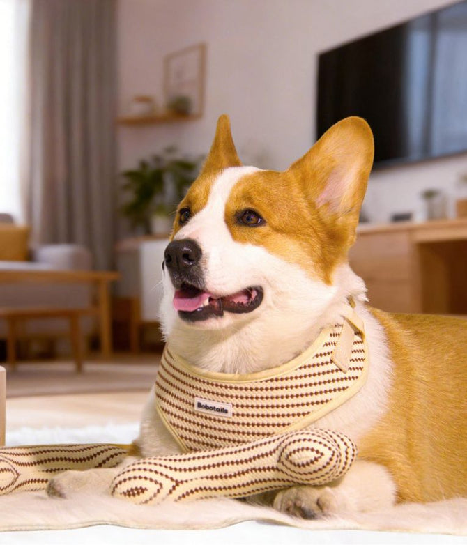 matching small grain harness dog interactive dog toys for small and medium dog