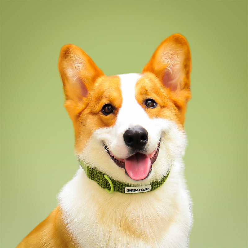 Small Dog Tactical Dog Collars