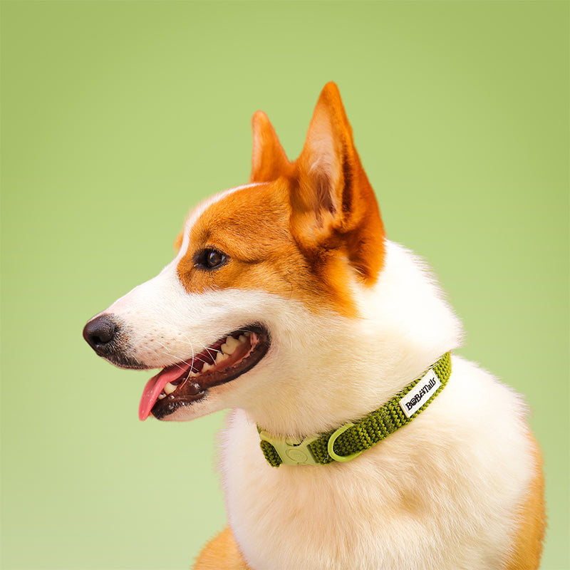 Small Dog Tactical Dog Collars