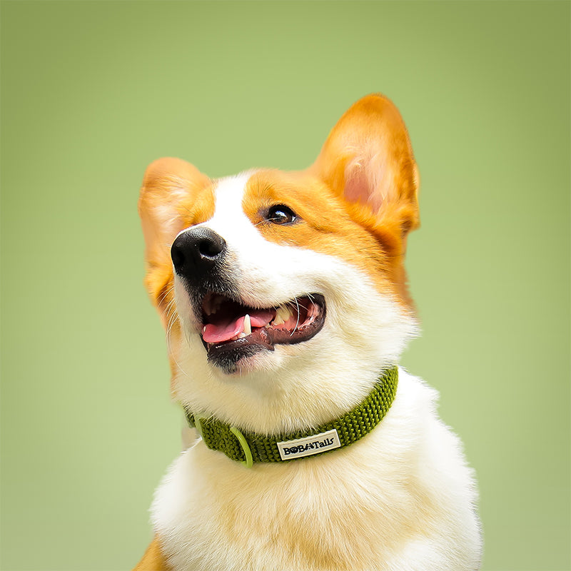 Small Dog Tactical Dog Collars