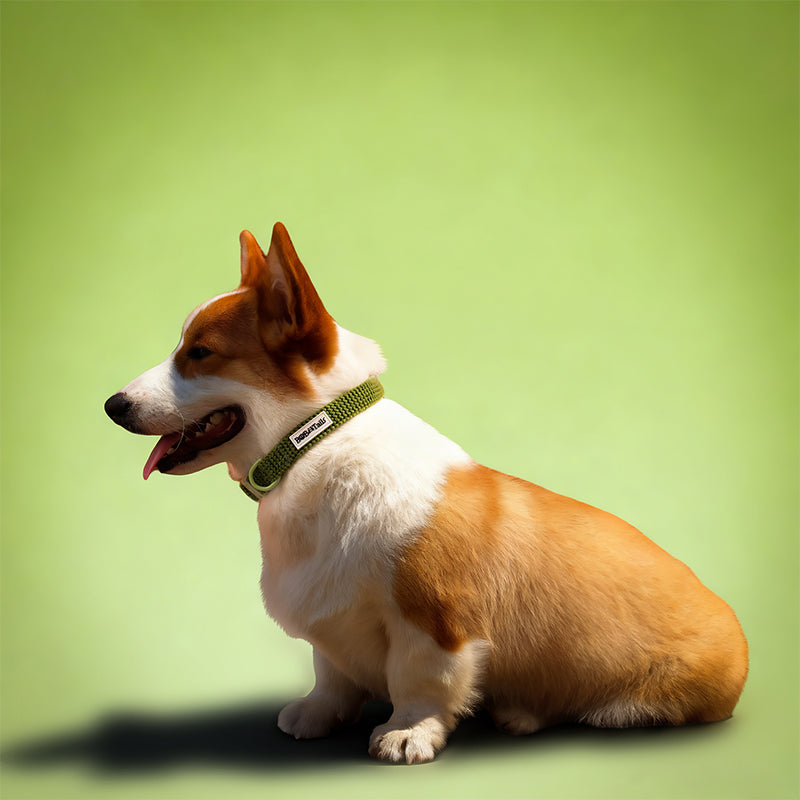 Small Dog Tactical Dog Collars