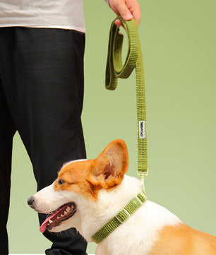 Sweater Knit Dog Leash