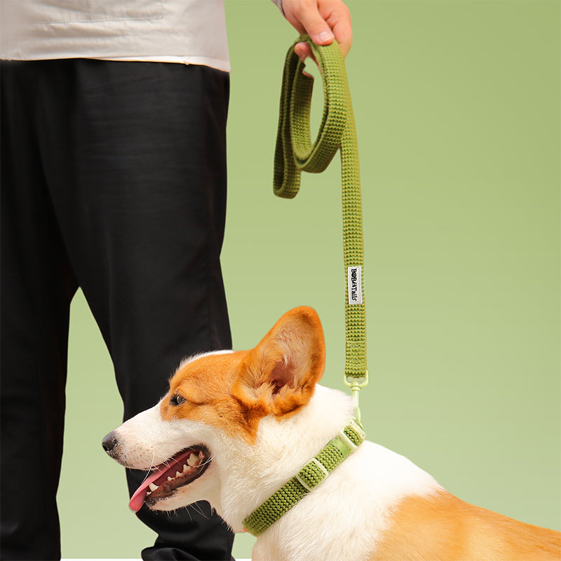 Sweater Knit Dog Leash