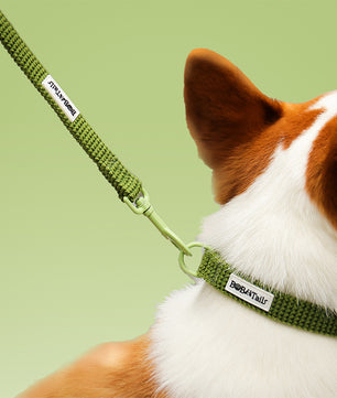 Sweater Knit Dog Leash