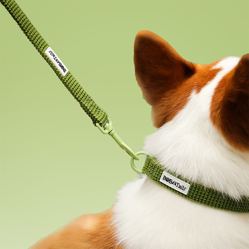 Sweater Knit Dog Leash