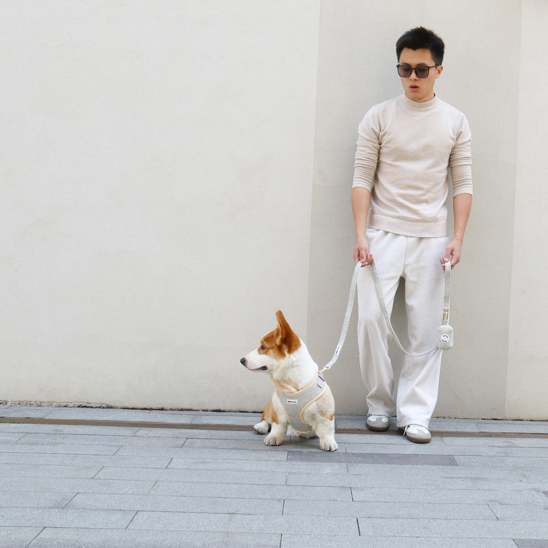 Taupe chunky knitted dog harness and leash set for small and medium dog 