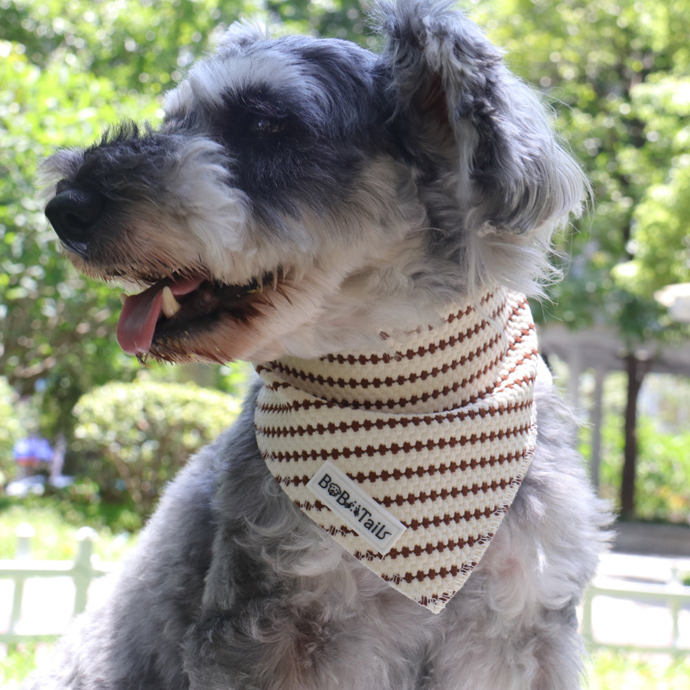 Small Grain Dog Bandanas