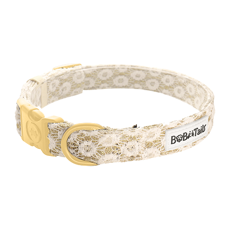 Bobotails floral briliance dog collars for medium dogs in gold coating and new fashion in 2024