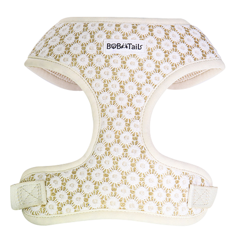 Bobotails artisanal making dog harness floral brilliance gold color in thankgiving and Christmas season collection.