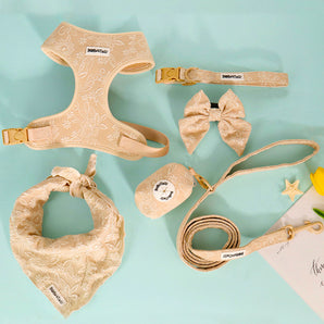 Morning Glory Harness, Leash, Collar and Poop Bag Holder Bundle