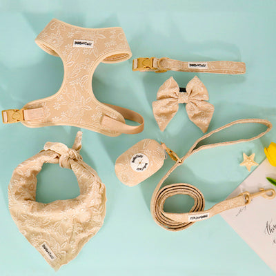 Morning Glory Biscuit 6-Piece Set – Warm Floral Matching Bundle