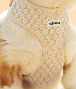 the best puppy harness for small medium and large size dogs -bobotails