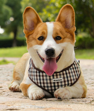 Bobotails plaid no-pull harness on Corgi dog