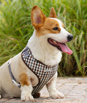 Corgi in plaid dog vest harness by Bobotails