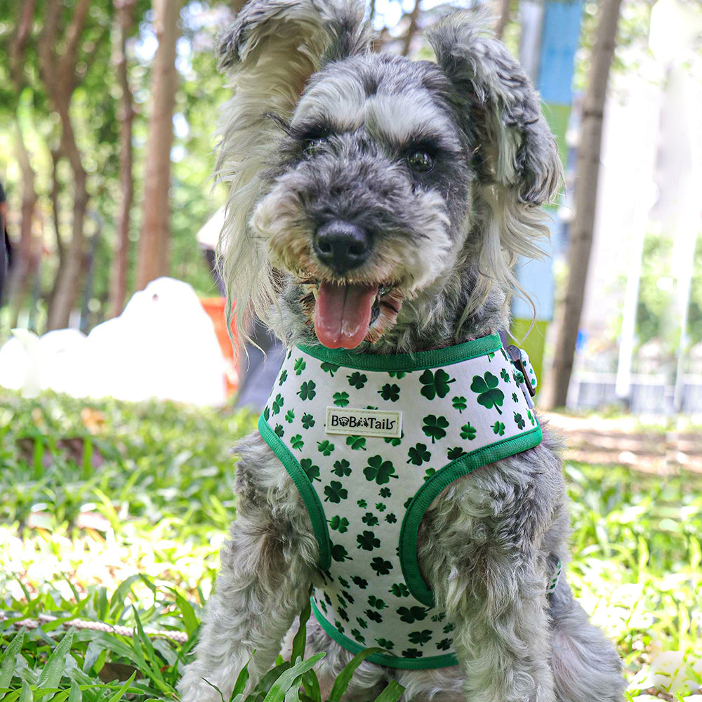Bobotails Dog Harness,No Pull Dog Harness with 1 Dog Leash Clips, Adjustable Soft Padded Dog Vest, Airmesh Breatheable Pet Cotton material Vest with Easy Control for Small and Medium Size Dogs