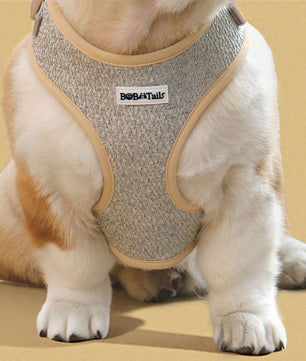 Dog wearing a harness with 'Bobotails' branding 