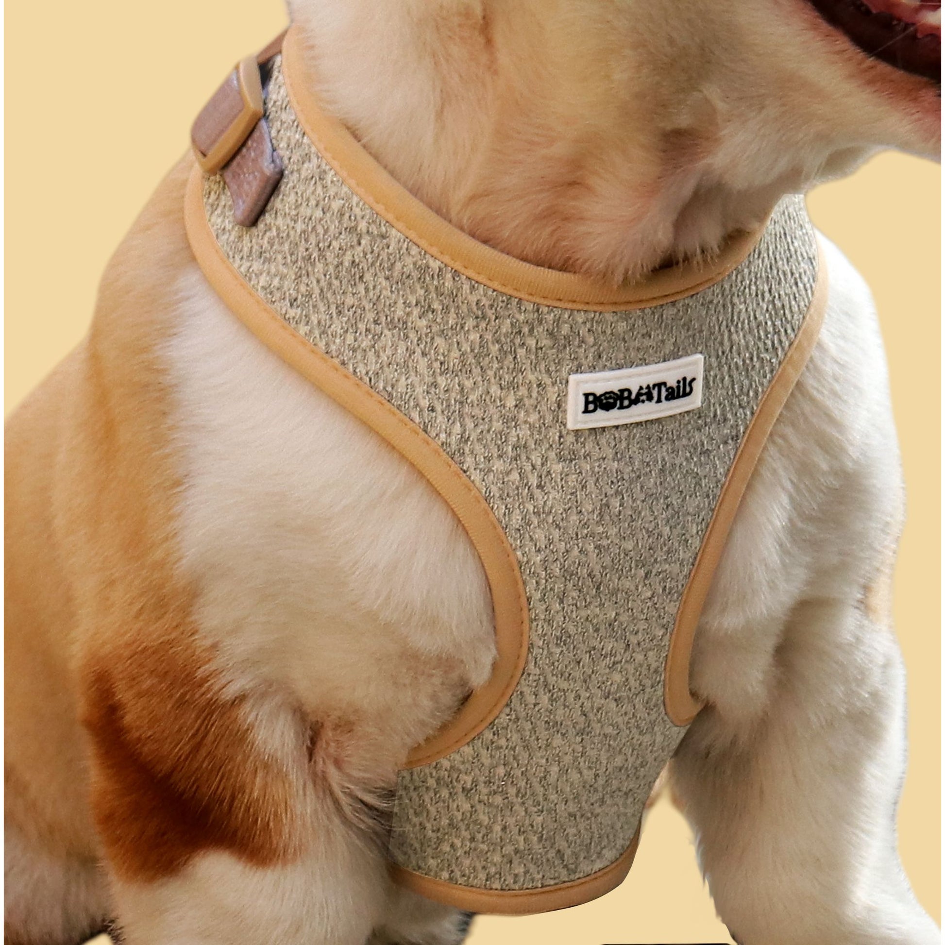 Bobotails dog vest  harness for medium size dog