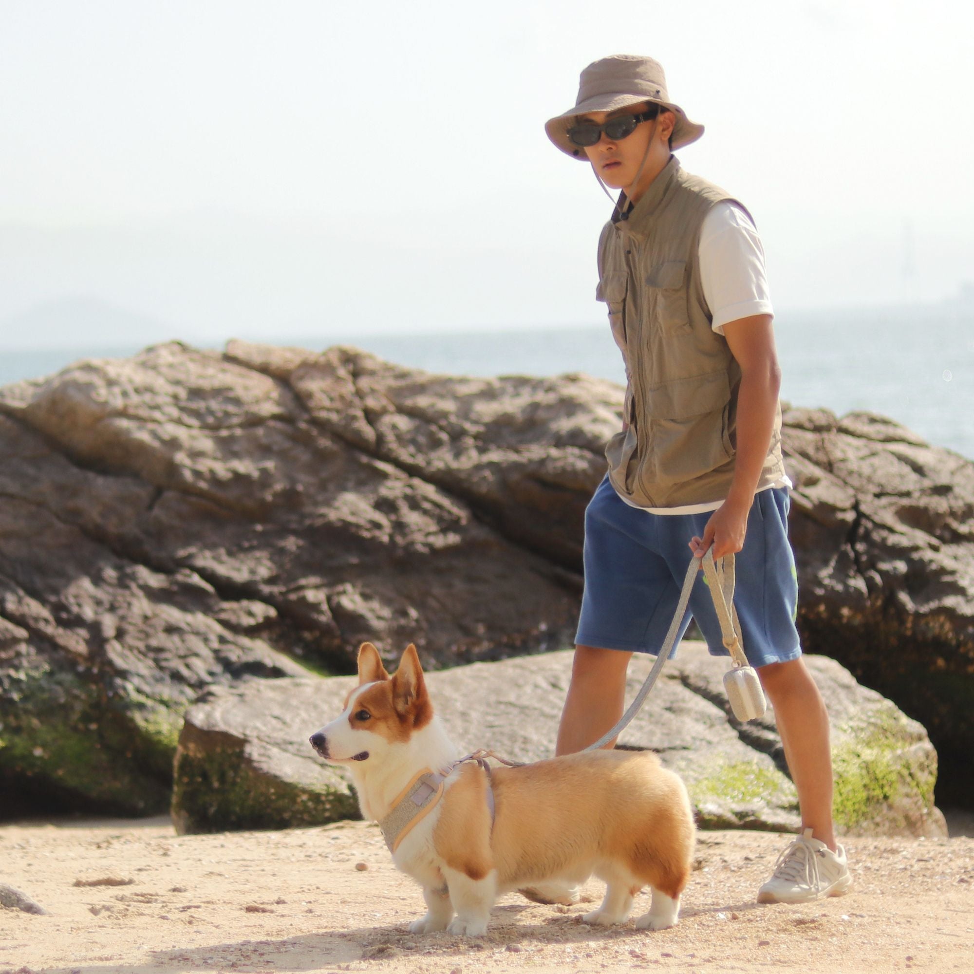 chunky knitted dog leash with biodegradable poop bags holder