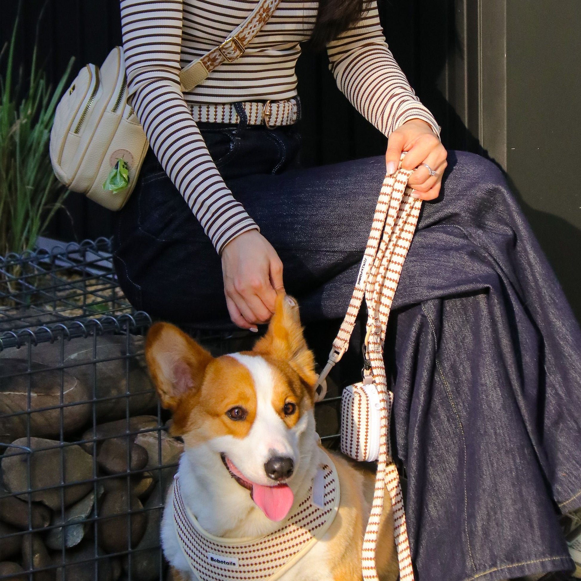 small grain complete pack for dog harness,leash,dog poop bag holder and dog walking bag