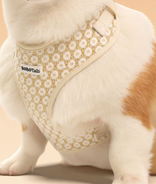 corgi wearing a floral harness on the floor-bobotails