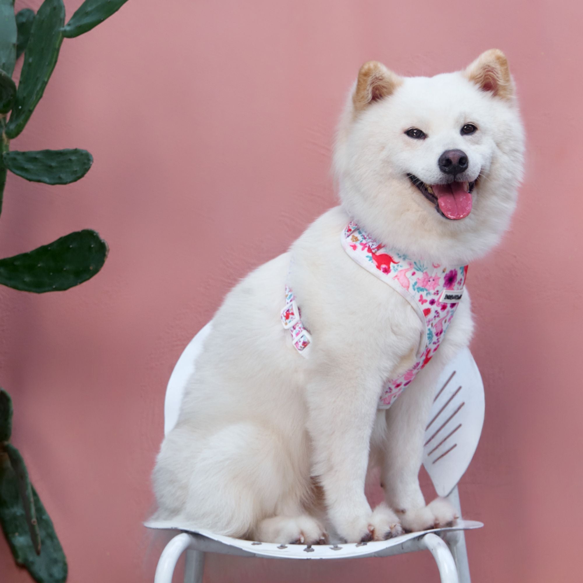 dinosaur printed anti pull dog harness designed as part of a matching dog and owner accessory system for everyday walks