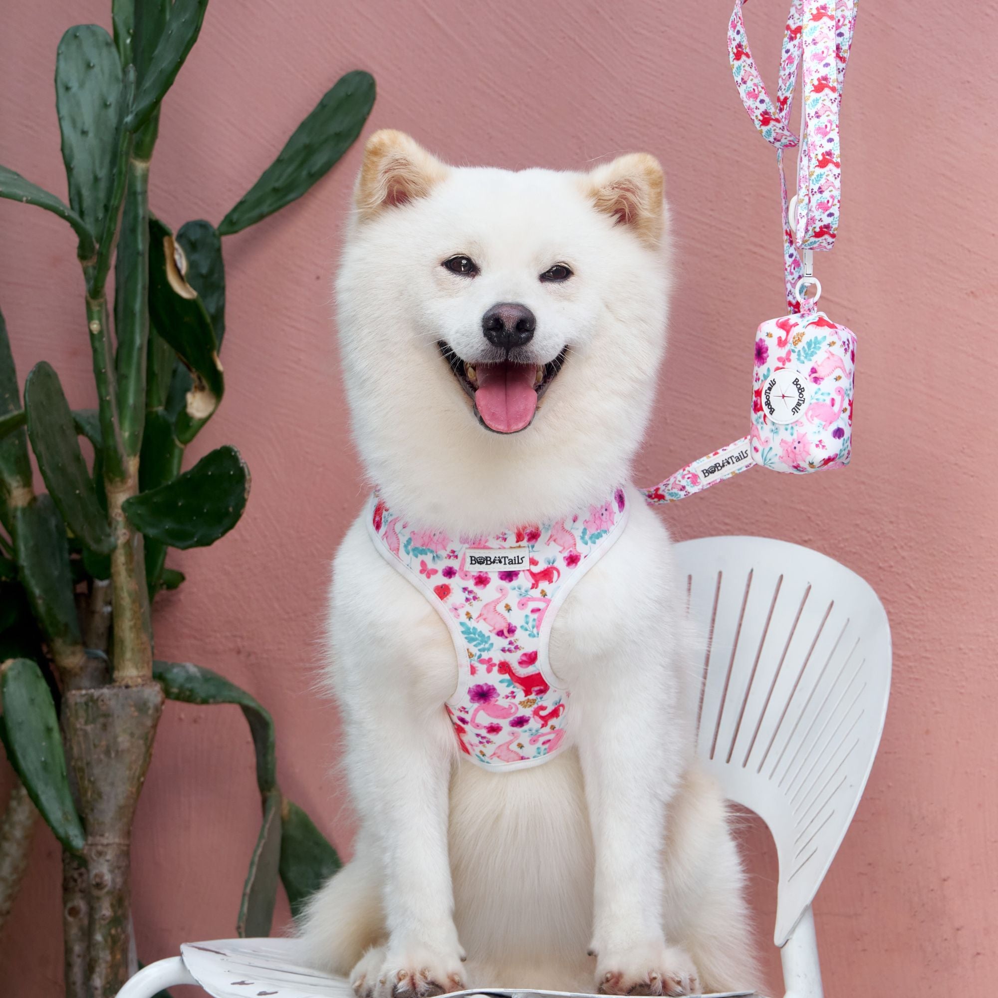 dinosaur printed best dog harness for walking designed as part of a matching dog and owner accessory system for everyday walks