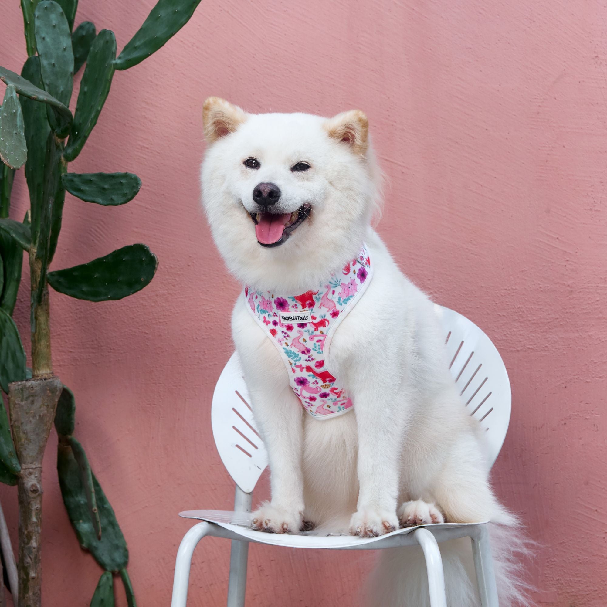 dinosaur printed best harness for large dogs designed as part of a matching dog and owner accessory system for everyday walks