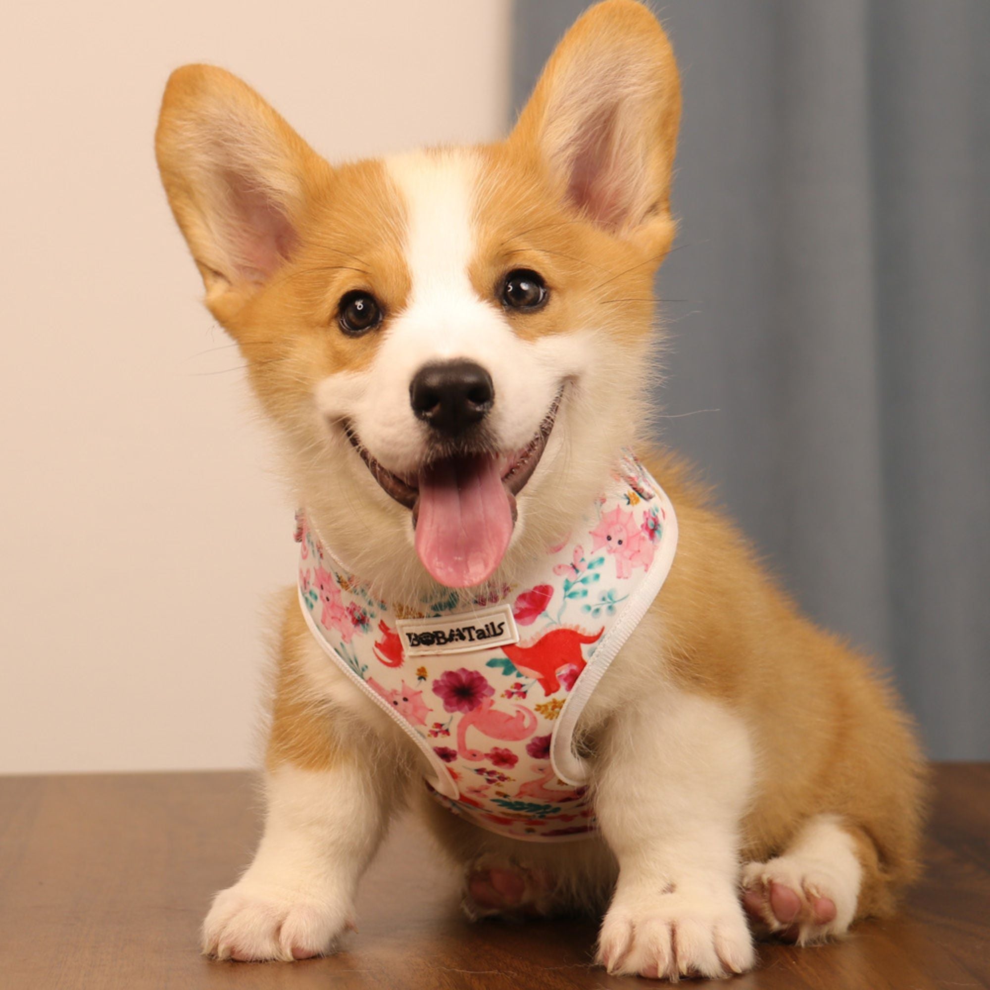 dinosaur printed best no-pull dog harness for extra small dog as part of a matching dog and owner accessory system for everyday walks